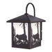 Black-Bear-Meadow-Park-Outdoor-Light-The-Cabin-Shack-2