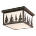Evergreen-Silver-Dollar-Trail-Outdoor-Ceiling-Light-The-Cabin-Shack-2
