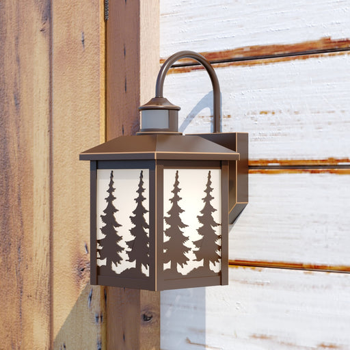 Evergreen-Silver-Dollar-Trail-Outdoor-Light-The-Cabin-Shack
