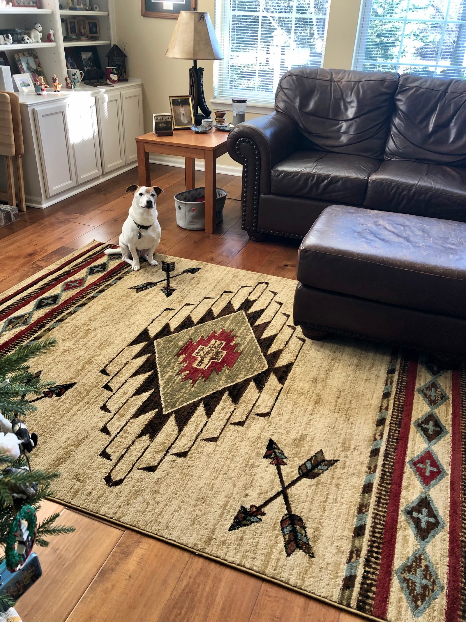 Cabin Rugs, Cabin Lighting, and Cabin Decor | The Cabin Shack