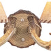 Marys-Glacier-Log-Antler-2-Light-Wall-Sconce-The-Cabin-Shack-3