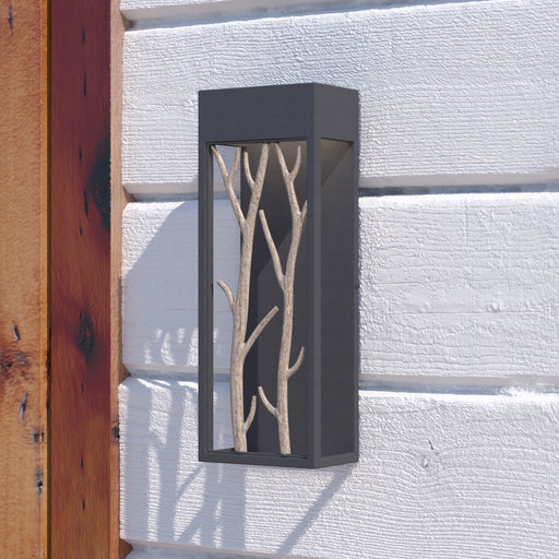 Sky-Pond-Aspen-Tree-Trail-Outdoor-Ceiling-Light-The-Cabin-Shack
