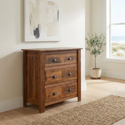 Mount Buckskin Reclaimed Barnwood Chest of Drawers with a potted olive tree beside it in a bright, airy room with framed art