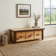 Terra Tomah Mountain Hickory Log Three Drawer Entry Bench in Natural below a landscape print in a bright entryway